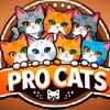 Логотип телеграм канала @pro_cats_ok — Про Котиков