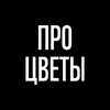 Логотип телеграм канала @pro_cvety_nk — ПРО ЦВЕТЫ Канал