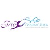 Логотип телеграм канала @pro_gymnasticclub — PROгимнастика - Центр художественной гимнастики