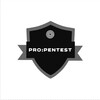 Логотип телеграм канала @pro_pentest — PRO:PENTEST
