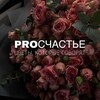 Логотип телеграм канала @pro_schastie_55 — PROСЧАСТЬЕ | ЦВЕТЫ