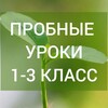 Логотип телеграм канала @proba_pera_marafon — Марафон пробных уроков "Проба пера"