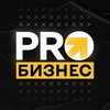 Логотип телеграм канала @probisnec — Pro Бизнес и не только