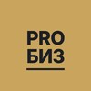 Логотип телеграм канала @probizmsc — ProБИЗ