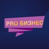 Telegram channel probizzne logo