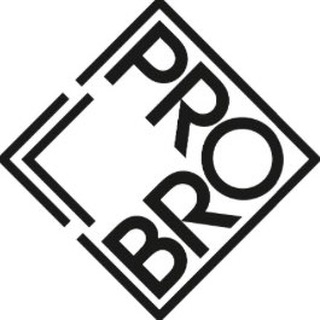 Логотип телеграм канала @probro_dance — ProBro