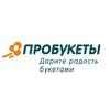 Логотип телеграм канала @probukety1 — ПРОБУКЕТЫ