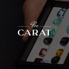 Telegram channel Pro.Carat logo