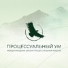 Логотип телеграм канала @processmind — Процессуальный ум