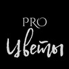 Логотип телеграм канала @procvety_dn — PROцветы