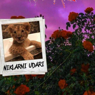 Telegram kanalining logotibi prodaja_madreymoff — 📢NIKLARNI va sTaTuSLaR UDARI📸