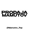 Логотип телеграм канала @prodaja_mamutov — ПРОДАЖА АККАУНТОВ | МАМУТОВ