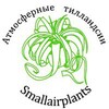 Логотип телеграм канала @prodazhatillandsii — SmallAirPlants - Маленькие Атмосферные Растения