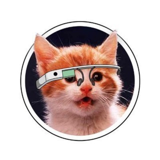 Logo of telegram channel producthunttg — Product Hunt 😸