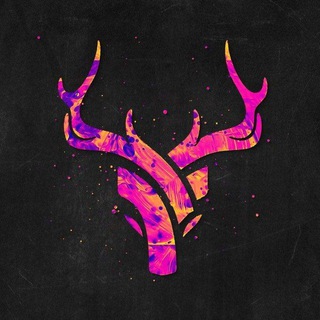 Logo des Telegrammkanals produkttestendeutschland - TC Produkttest 🇩🇪