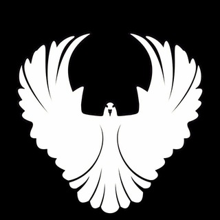 Логотип телеграм канала @proektrodina — Проект РОДИНА
