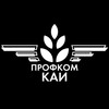 Логотип телеграм канала @profcomkai8 — Профком КНИТУ-КАИ