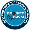 Логотип телеграм канала @professium_camp — ПРОФЕССИУМ-НАША СЕМЬЯ