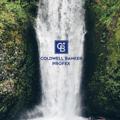 Logo saluran telegram profexantalyarealestate — Coldwell Banker Profex Antalya