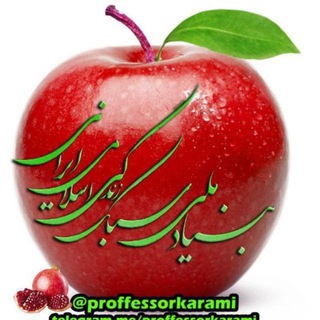 لوگوی کانال تلگرام proffessorkarami — بنیاد ملی سبک زندگی سالم