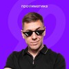 Логотип телеграм канала @profimatika_inf — Игорь Линьков | ЕГЭ по информатике | Профиматика