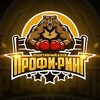 Логотип телеграм канала @profiring — СК «Профи-Ринг»