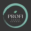 Логотип телеграм канала @profisemko — Профи Semko School