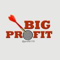 Logo saluran telegram profit110 — ⇝Big Profit➸❁