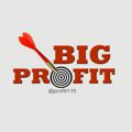 لوگوی کانال تلگرام profit110 — ⇝Big Profit➸❁