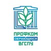 Логотип телеграм канала @profkom_vspu — Профсоюзная организация обучающихся ВГСПУ