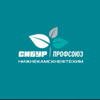 Логотип телеграм канала @profkomnknh — Профсоюз Нижнекамскнефтехим