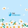 Логотип телеграм канала @profsouzmwms — ТМХ Профсоюз | Метровагонмаш-Сервис