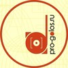Логотип телеграм канала @progolos — Гибкий голос