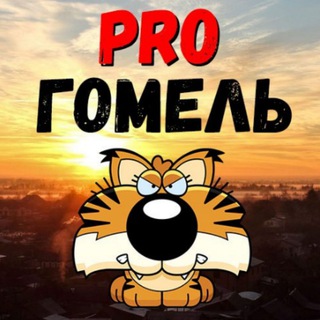 Логотип телеграм канала @progomel — PRO Гомель