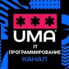 Логотип телеграм канала @programistiuma — Всё про мир IT и программирование