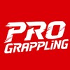 Логотип телеграм канала @prograppling — PRO GRAPPLING
