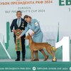 Логотип телеграм канала @prohandling — Хендлинг изнутри. Мария Евтеева
