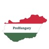 Логотип телеграм канала @prohungary — ProHungary | Европа | Венгрия