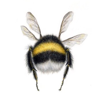 Логотип телеграм канала @projectbumblebee — “BumBleBee” 🐝 Доска объявлений всех направлений