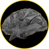 Логотип телеграм канала @projectni — Нейро Инсайдер - Финансы, Инвестиции, Трейдинг