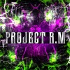 Логотип телеграм канала @projectrm2 — PROJECT R.M