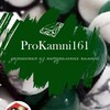 Логотип телеграм канала @prokamni161 — 🔥 ProKamni161