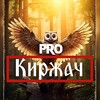 Telegram channel PRO Град КИРЖАЧ logo