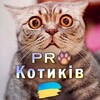 Логотип телеграм -каналу prokotikua — PRO Котиків 🇺🇦