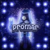 Логотип телеграм канала @promardsg — ProMar™| DSG