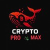 Logo of telegram channel promax_2 — 𝗖𝗥𝗬𝗣𝗧𝗢 𝗣𝗥𝗢 𝗠𝗔𝗫