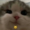 Логотип телеграм канала @promema — ПРО мемы