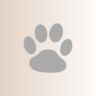 Логотип телеграм канала @promikrf — промик.рф - Путеводитель по скидкам
