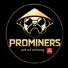 Логотип телеграм -каналу prominersua — 💥ProMiners: майнеры и комплектующие!