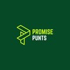 Logo of telegram channel promisepunter — PROMISE PUNTS 🍀